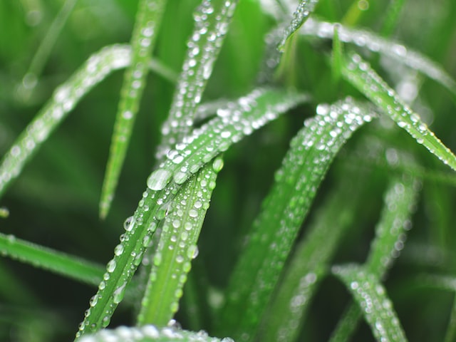 梅雨季节是几月份？