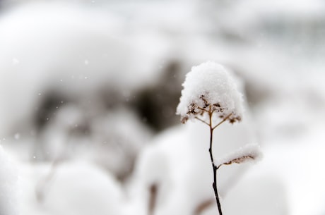 欧洲多国天降橙雪！让人大吃一惊！