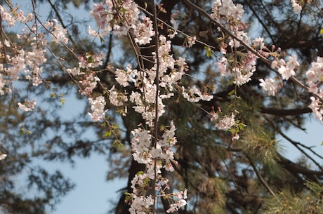 教师节手工贺卡 教师节是一个感恩恩师的节日